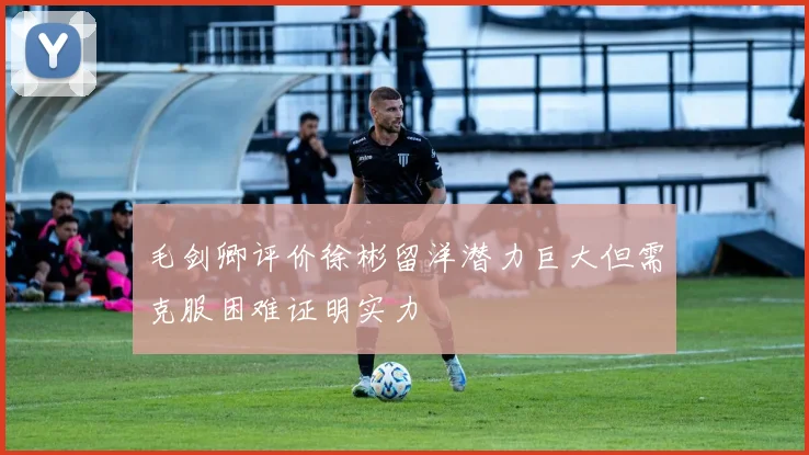 毛剑卿评价徐彬留洋潜力巨大但需克服困难证明实力